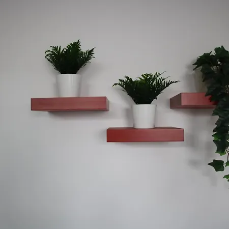 Apartman Am Bodensee - Nur 10 Minuten Zu Fuss Zum *